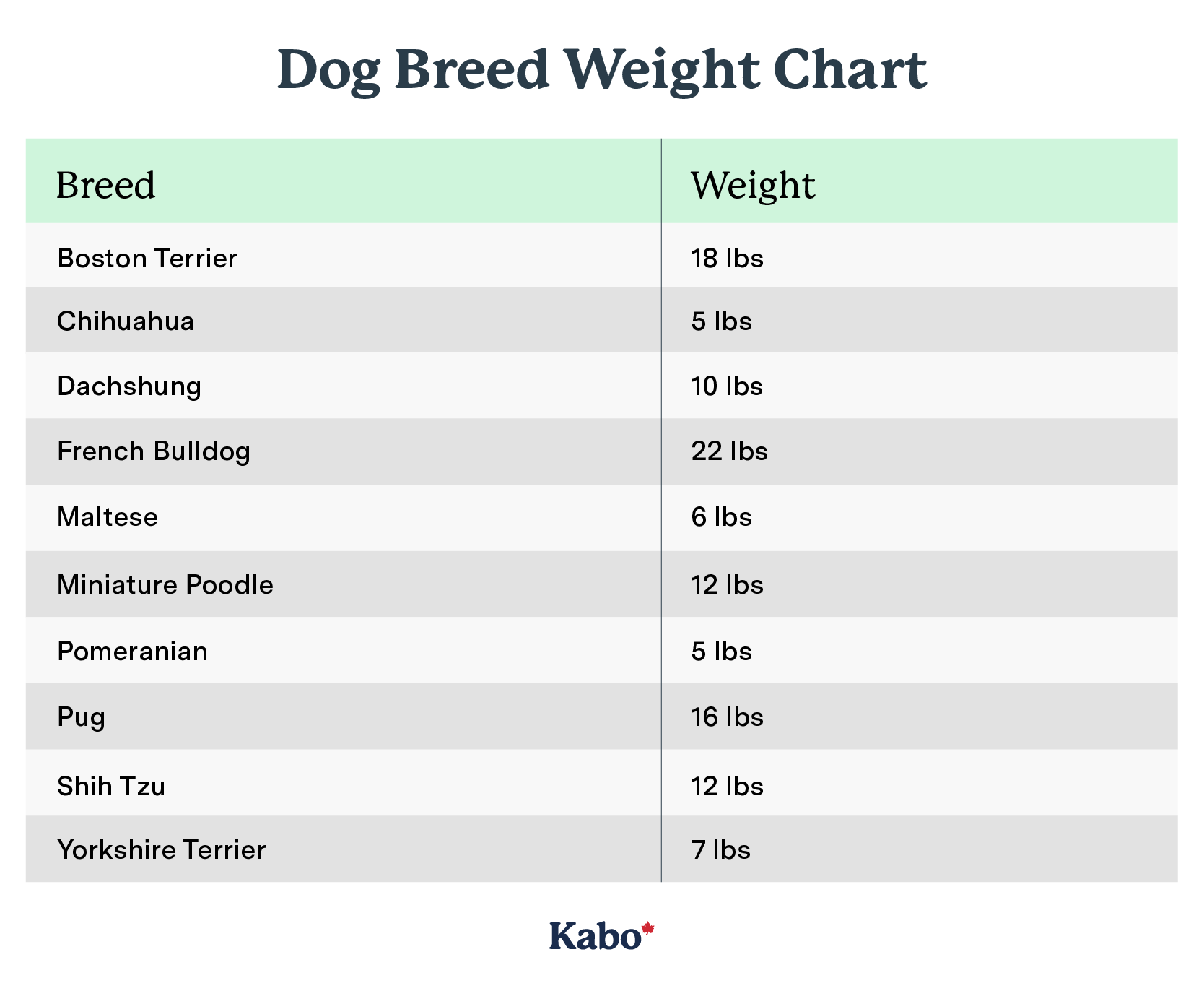 The Ultimate Puppy Feeding Guide Kabo